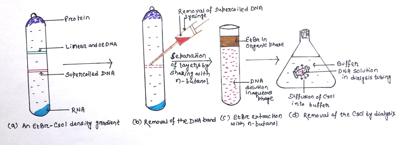 density gradient centrifugation