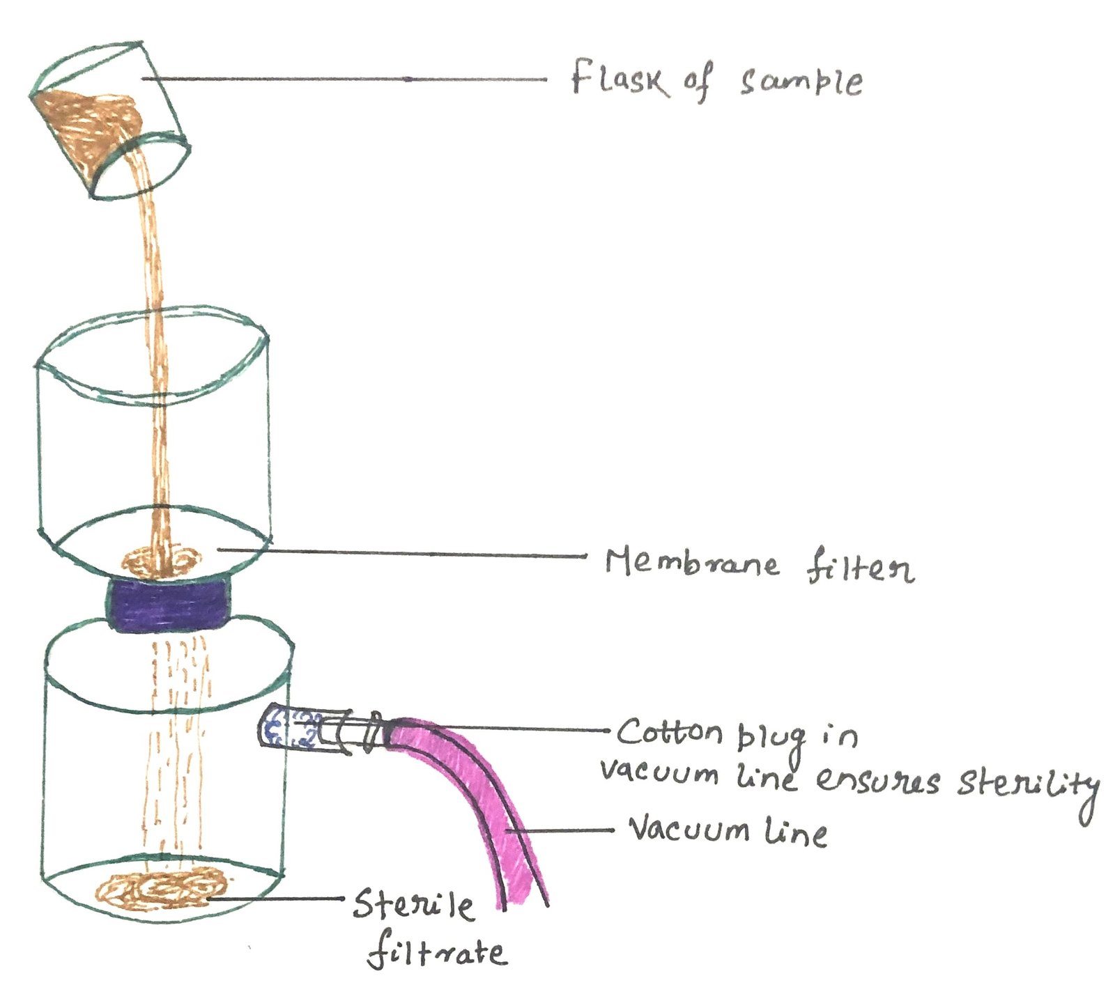 the process of filtration