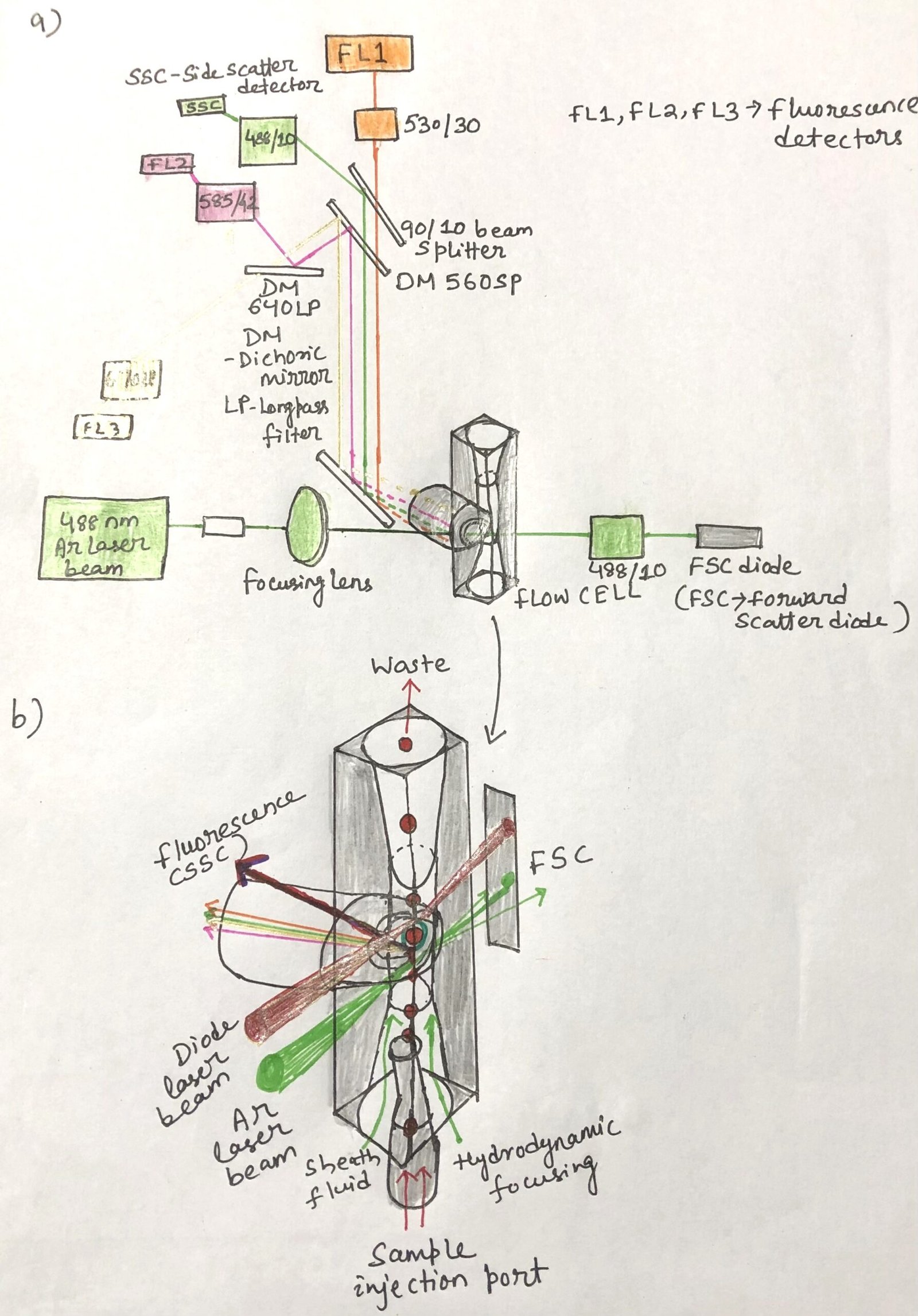 flow cytometry setup