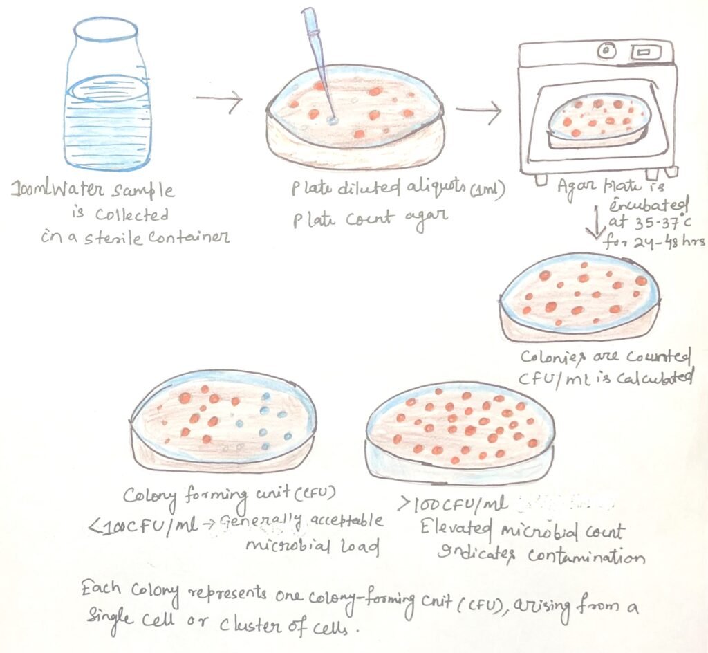 Standard Plate Count (SPC) Method for Bacteriological Analysis of Water