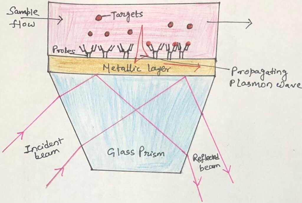Surface plasmon resonance