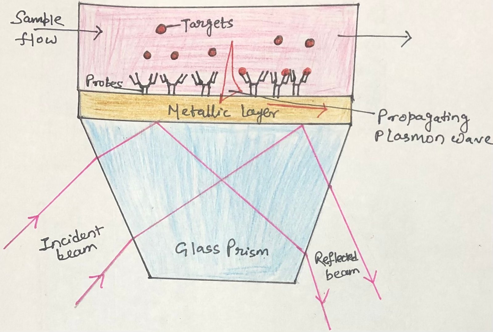 Surface plasmon resonance