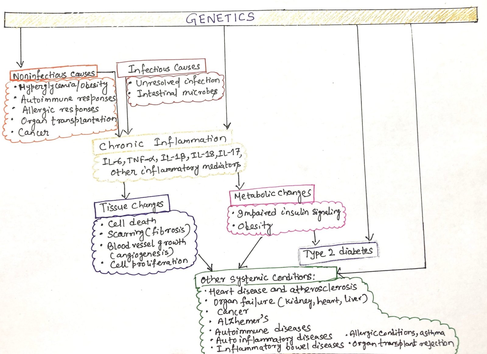 origins and effects of chronic inflammation